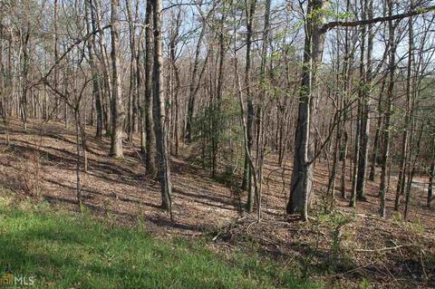 0 Falling Waters Dr, Demorest, GA 30535 photo 4