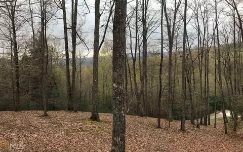 473 Double Knobs Dr, Hayesville, NC 28904 photo 18