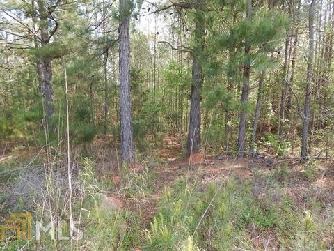 778 Manning Gin, Monroe, GA 30656 photo 3