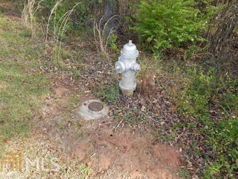 778 Manning Gin, Monroe, GA 30656 photo 4