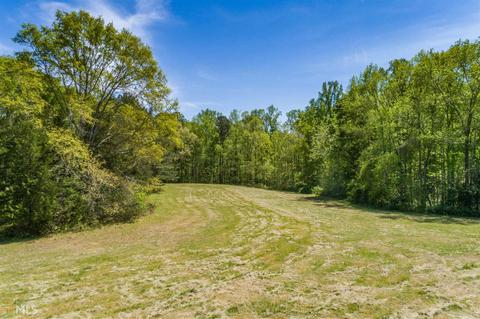 46 Long Branch Ln, Colbert, GA 30628 photo 30