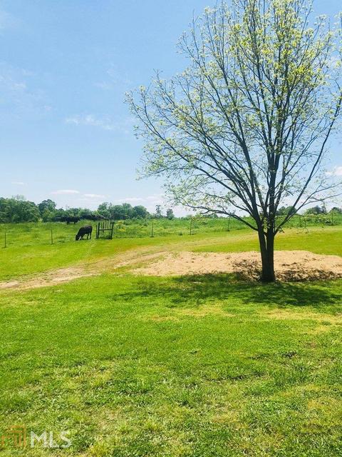 2070 County Rd 28, Ranburne, AL 36273 photo 22