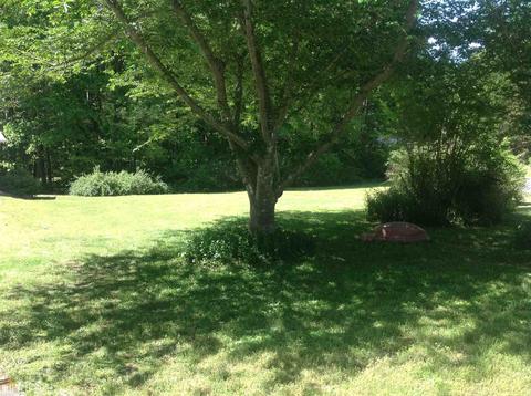 228 Farmbrook Pkwy, Stockbridge, GA 30281 photo 33