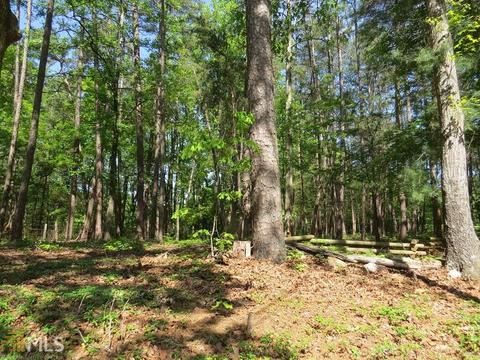 1 Stonewood Forest Rd, Toccoa, GA 30577 photo 26
