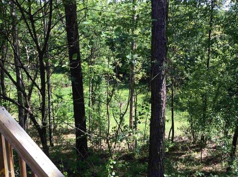 1890 River Bluff Rd, Monroe, GA 30656 photo 24