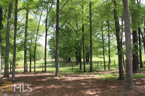 888 Grant Rd, Brooks, GA 30205 photo 4