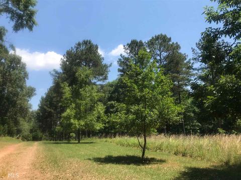7015 W Highway 26, Oglethorpe, GA 31068 photo 20