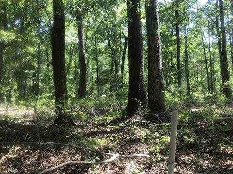 7015 W Highway 26, Oglethorpe, GA 31068 photo 8