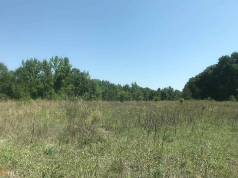 7015 W Highway 26, Oglethorpe, GA 31068 photo 22