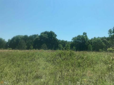 7015 W Highway 26, Oglethorpe, GA 31068 photo 5