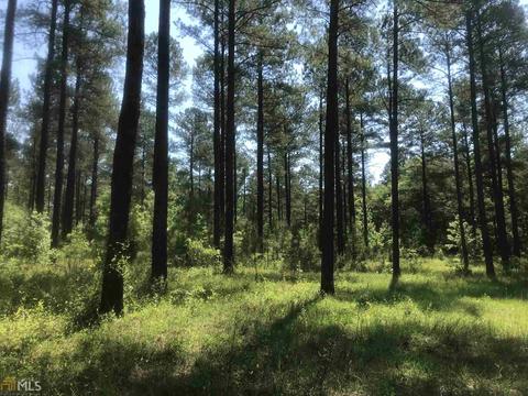 7015 W Highway 26, Oglethorpe, GA 31068 photo 7