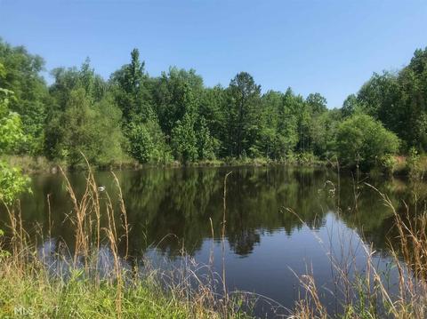 7015 W Highway 26, Oglethorpe, GA 31068 photo 4