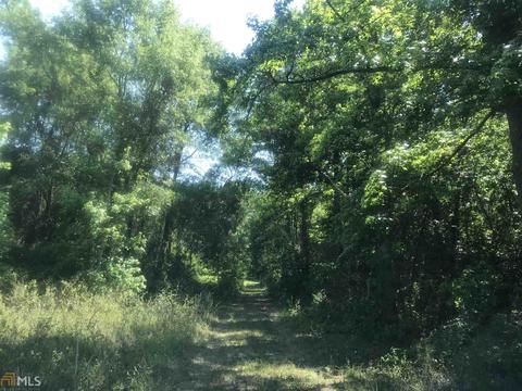 7015 W Highway 26, Oglethorpe, GA 31068 photo 6