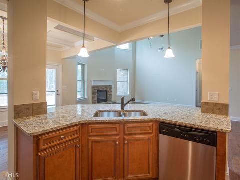 3197 Alhambra Cir, Hampton, GA 30228 photo 12