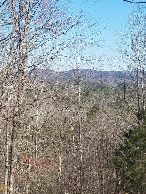 91 Laurel Mountain Dr, Toccoa, GA 30577 photo 23