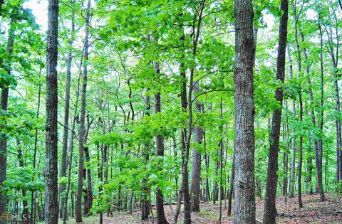 58 Deer Run, Jasper, GA 30143 photo 8