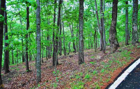 58 Deer Run, Jasper, GA 30143 photo 7