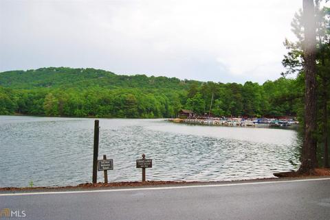 58 Deer Run, Jasper, GA 30143 photo 12