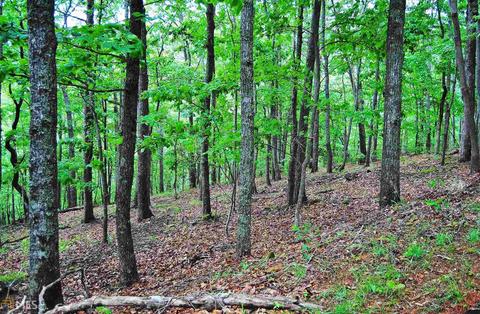 58 Deer Run, Jasper, GA 30143 photo 6