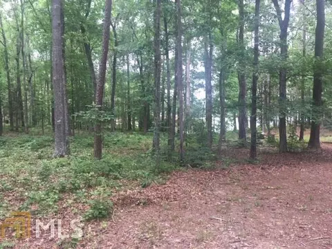 58 County Rd 671, Cedar Bluff, AL 35959 photo 3