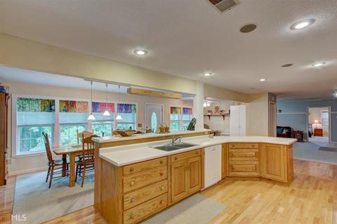 2535 Mcfarlin Bridge Rd, Carnesville, GA 30521 photo 14