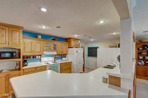 2535 Mcfarlin Bridge Rd, Carnesville, GA 30521 photo 11