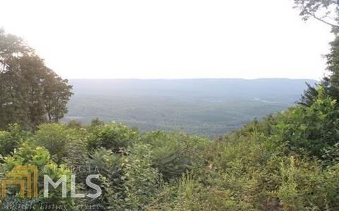 7182 Old State Rd, Cloudland, GA 30731 photo 24
