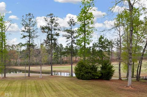 4069 Rotterdam Pass, Hampton, GA 30228 photo 23