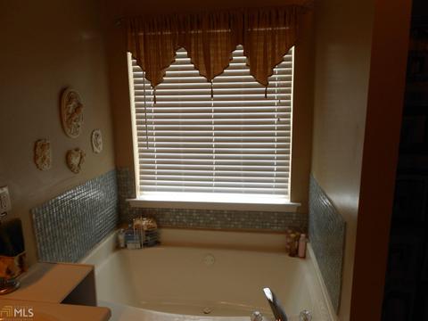 1385 Leicster Ct, Hampton, GA 30228 photo 27