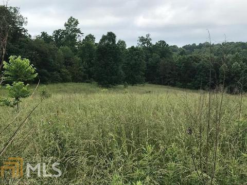 2971 Kesler Rd, Carnesville, GA 30521 photo 4