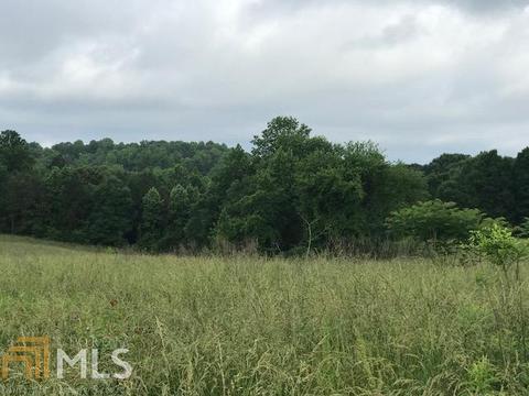 2971 Kesler Rd, Carnesville, GA 30521 photo 1