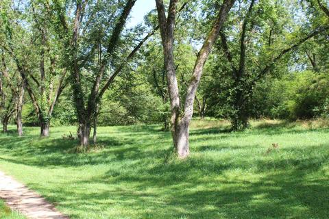 4067 Wallace, Pine Mountain, GA 31822 photo 4