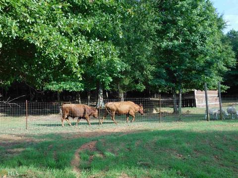 370 Mt Vernon Rd, Monroe, GA 30655 photo 11
