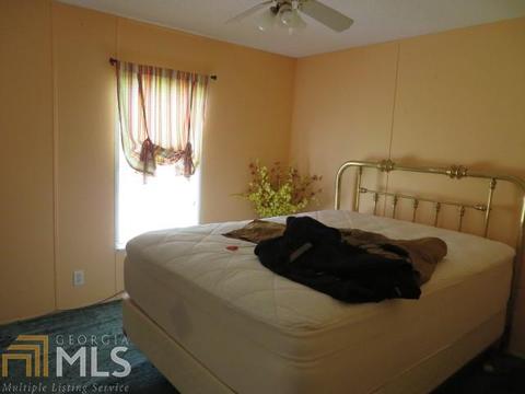 329 Mt View Rd, Carnesville, GA 30521 photo 13