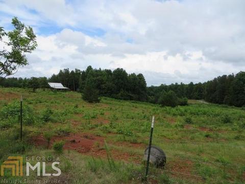 329 Mt View Rd, Carnesville, GA 30521 photo 4