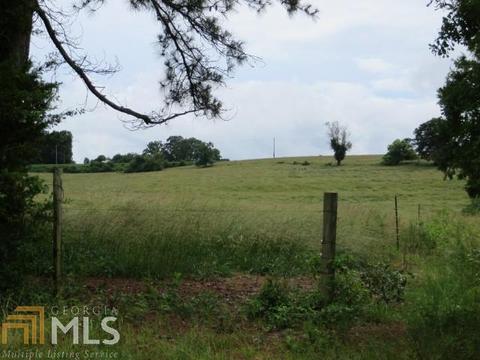 329 Mt View Rd, Carnesville, GA 30521 photo 3