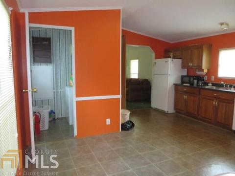 329 Mt View Rd, Carnesville, GA 30521 photo 6