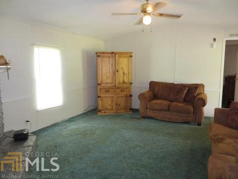 329 Mt View Rd, Carnesville, GA 30521 photo 9