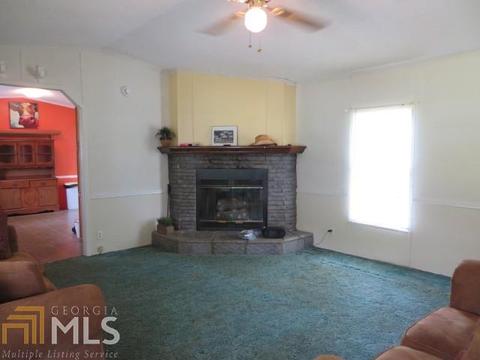 329 Mt View Rd, Carnesville, GA 30521 photo 8
