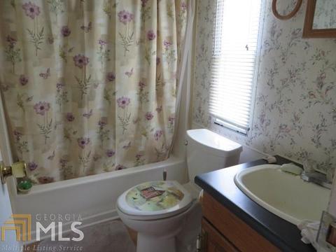 329 Mt View Rd, Carnesville, GA 30521 photo 15