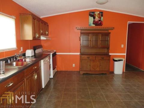 329 Mt View Rd, Carnesville, GA 30521 photo 5