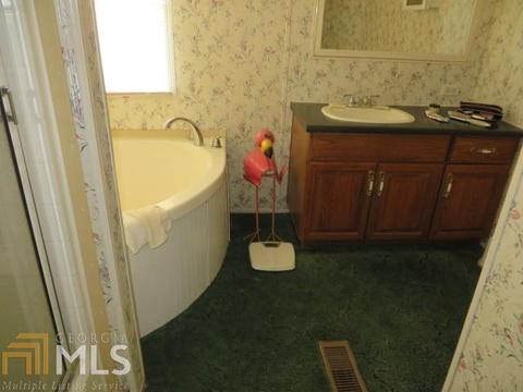 329 Mt View Rd, Carnesville, GA 30521 photo 11