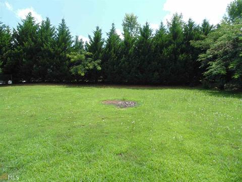 10909 Knotty Pine Pl, Hampton, GA 30228 photo 19