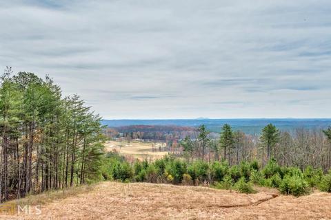 100 Summit View Ct, Canton, GA 30114 photo 6