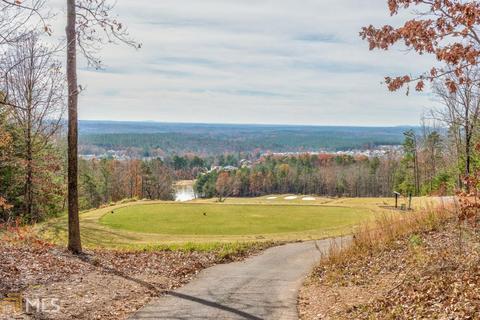 100 Summit View Ct, Canton, GA 30114 photo 8