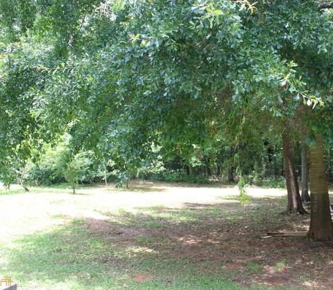 112 Jacob Ct, Forsyth, GA 31029 photo 7