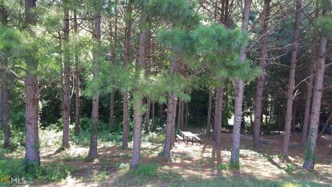 11102 Knotty Pine Pl, Hampton, GA 30228 photo 3