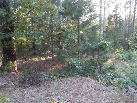 101 Abby Glen Dr, Lagrange, GA 30241 photo 16