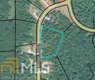 114 Laurel Rdg, Forsyth, GA 31029 photo 1