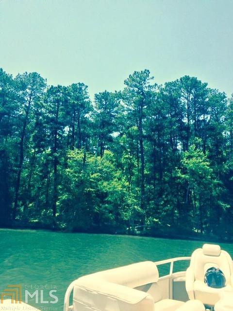 258 Cochran Rd, Jackson, GA 30233 photo 29